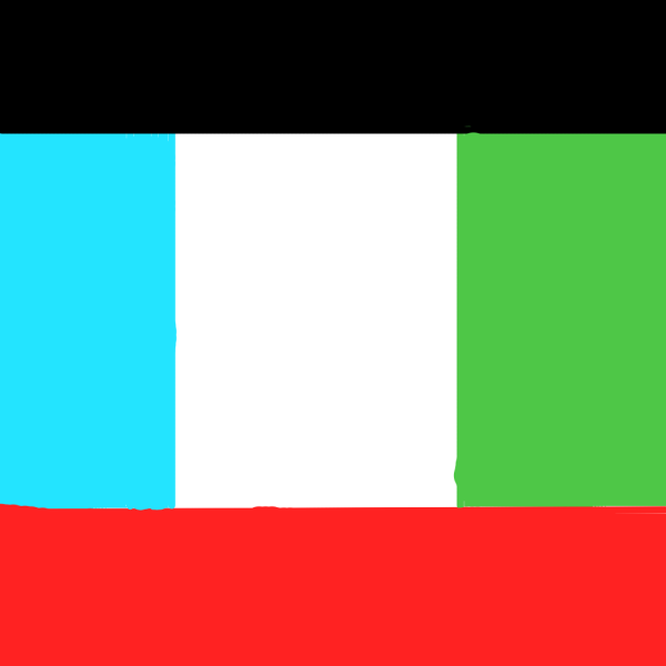 File:SS Flag.png